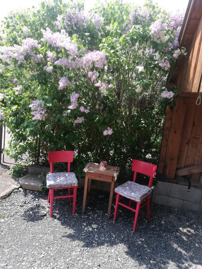 Drevenica Zapadne Tatry S Kupacou Kadou A Krbom Apartment Ziar Exterior photo