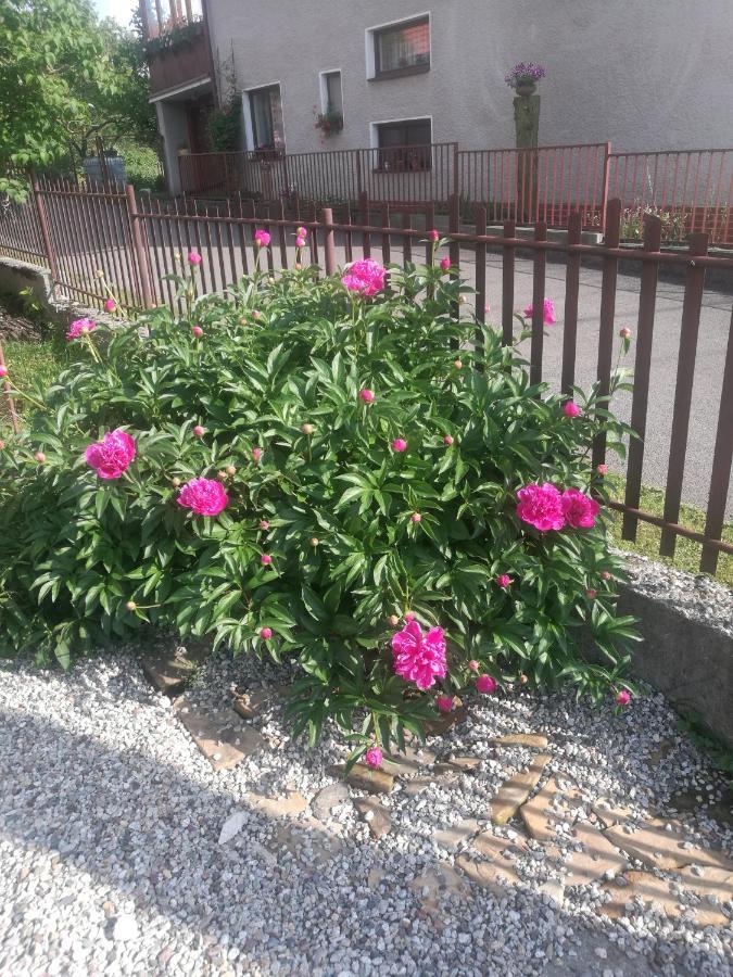 Drevenica Zapadne Tatry S Kupacou Kadou A Krbom Apartment Ziar Exterior photo