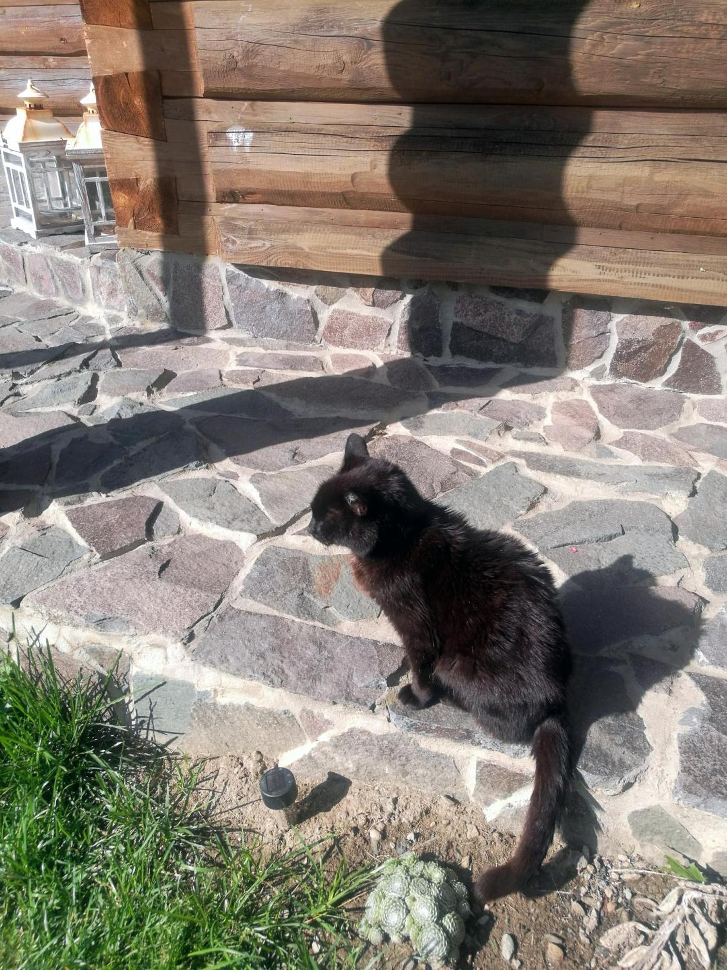 Drevenica Zapadne Tatry S Kupacou Kadou A Krbom Apartment Ziar Exterior photo
