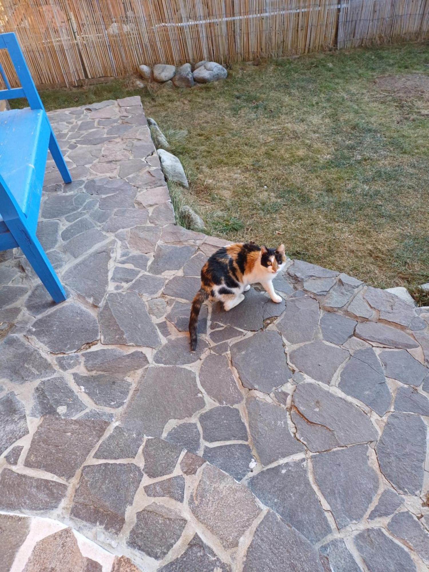 Drevenica Zapadne Tatry S Kupacou Kadou A Krbom Apartment Ziar Exterior photo